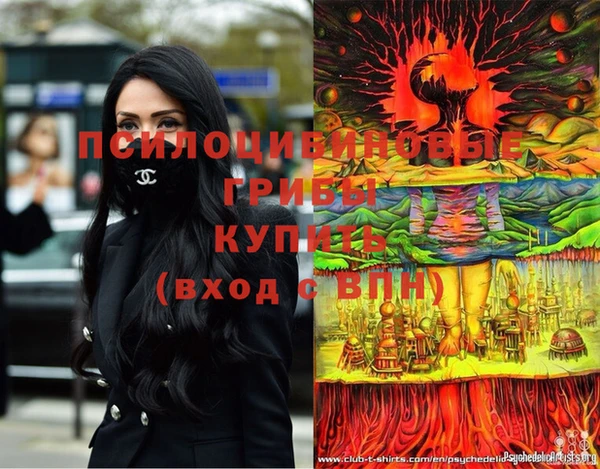 не бодяженный Аркадак