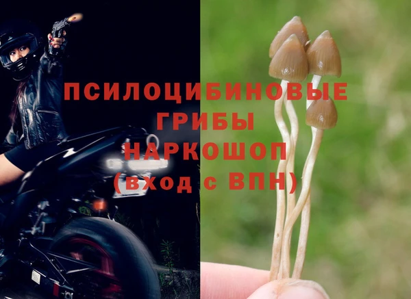 наркотики Арсеньев