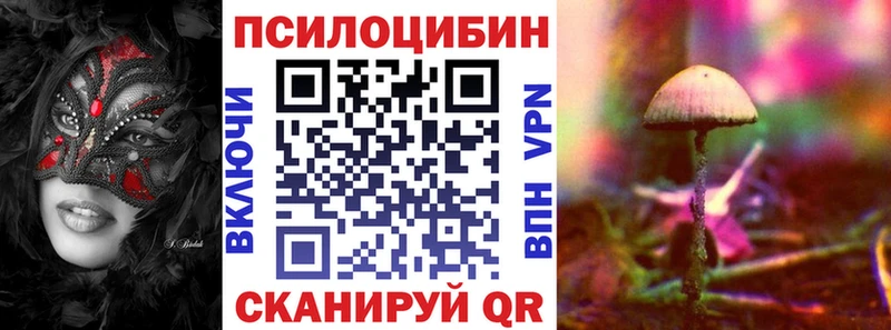 где купить мега онион Псилоцибиновые грибы GOLDEN TEACHER Курган