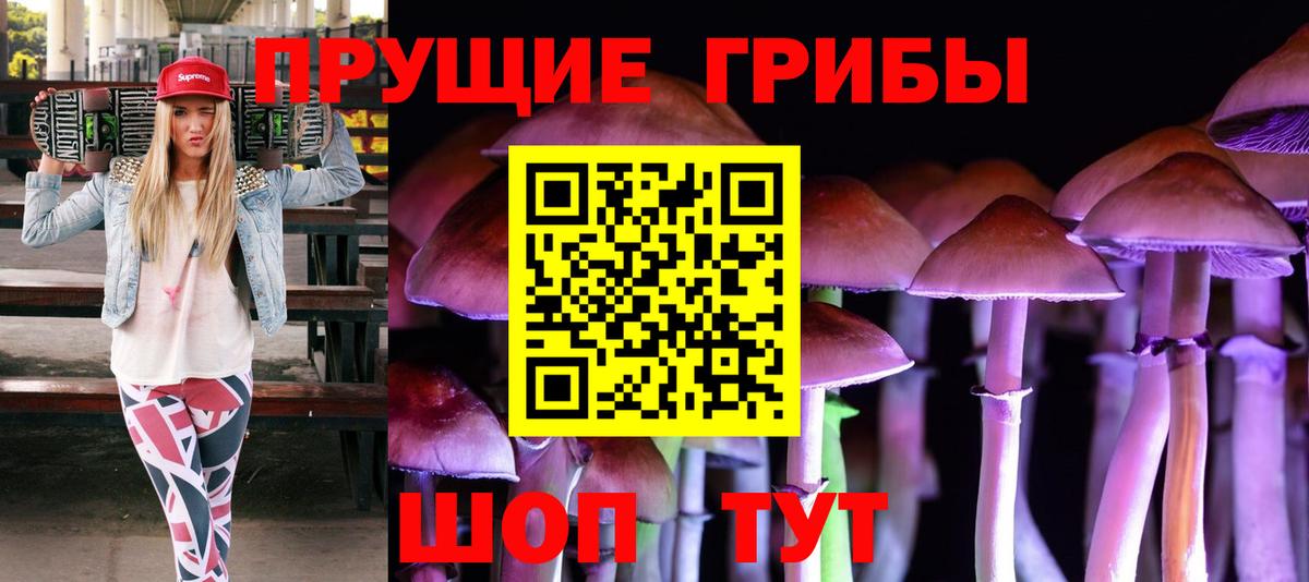 Курган  Псилоцибиновые грибы MAGIC MUSHROOMS  Вход с VPN 