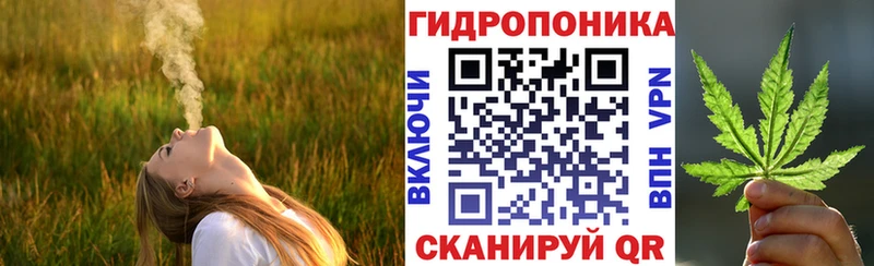 МАРИХУАНА планчик  KRAKEN ссылки  Курган 