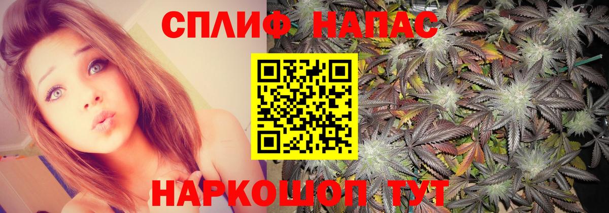 Шишки марихуана индика  Вход с VPN  Марихуана тримм  Конопля MAZAR  Курган 